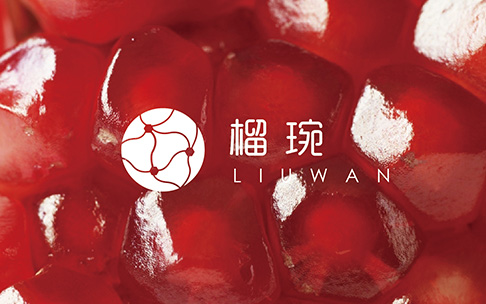 天兆石榴食品包裝設(shè)計(jì)