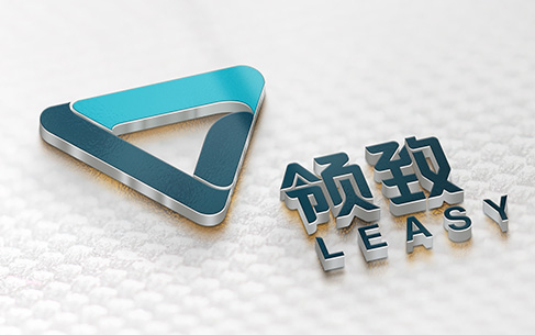 領(lǐng)致科技公司Logo設(shè)計(jì)、宣傳物料設(shè)計(jì)