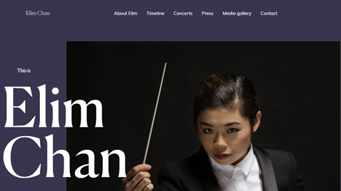 上海助騰科技-網站設計制作案例