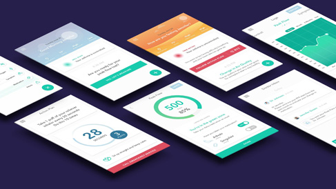 498787.jpg 上海助騰科技-網站設計制作案例