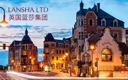 英國藍莎集團SEO優化