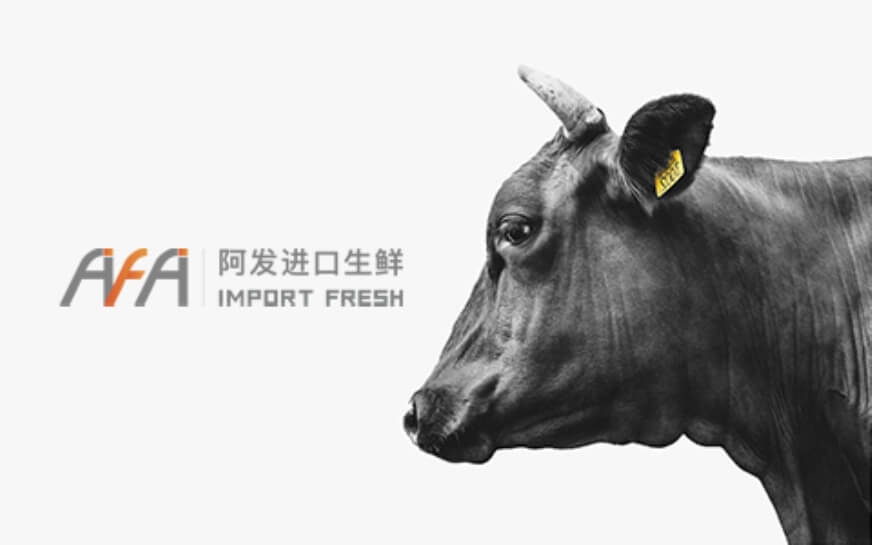 上海助騰科技-網站設計制作案例