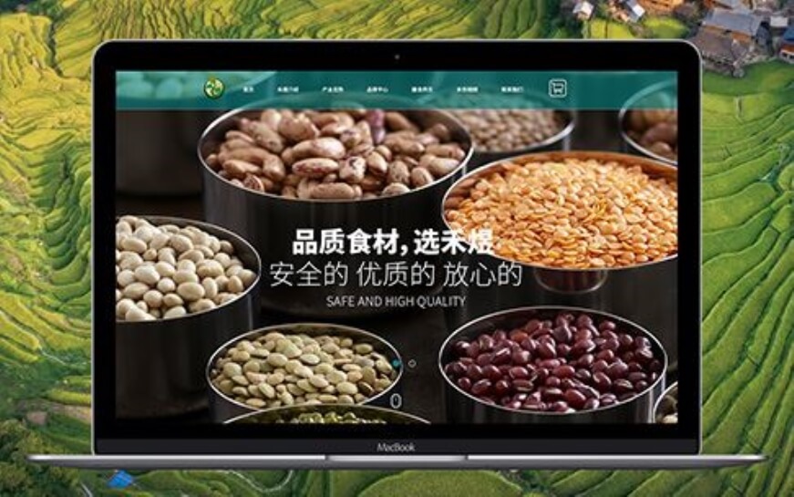 上海助騰科技-網(wǎng)站設(shè)計制作案例