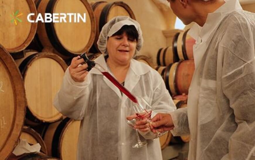 上海助騰科技-網站設計制作案例